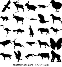 Set of 25 animals. Rabbit, Rat, Chick, Otter, Antelope, Grasshopper, Owl, Dog, Flamingo, Beaver, Hare, Bull, Bird, Sheep, Deer, Seal, Butterfly, Chihuahua, Goshawk, Fox, Cow, Gorilla.