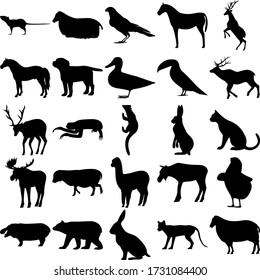 Set of 25 animals. Rat, Crow, Horse, Dog, Ducks, Toucan, Deer, Sloth, Pacific Fisher, Cat, Lama, Elk, Chick, Hippopotamus, Bear, Rabbit, Thylacine, Sheep.