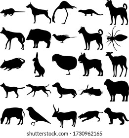 Set of 25 animals. Rat, Doberman, Flamingo, Otter, Maned Wolf, Boar, Pigeon, Spider, Rabbit, Chick, Deer, Dachshund, Elephant, Sheep, Bird, Cow, Hyena, Dogs.