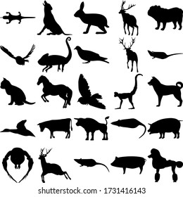 Set of 25 animals. Salamander, Wolf, Hare, Chameleon, Dove, Cat, Horse, Bird, Monkey, Dog, Duck, Cow, Bull, Owl, Deer, Rat, Pig, Poodle.