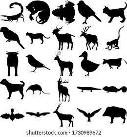 Set of 25 animals. Scorpion, Thylacine, Frog, Kitten, Parrot, Cougar, Sheep, Monkey, Sparrow, Duck, Cow, Dog, Shrew, Deer, Lizard, Chameleon, Goshawk, Bat, Antilope, Bird, Boar.