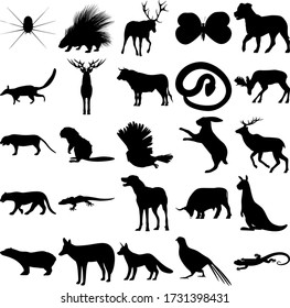 Set of 25 animals. Spider, Porcupine, Butterfly, Numbat, Deer, Snake, Moose, Tiger, Beaver, Owl, Rabbit, Jaguar, Gecko, Dog, Bull, Kangaroo, Polar bear, Jackal, Fox, Pheasant, Lizard.