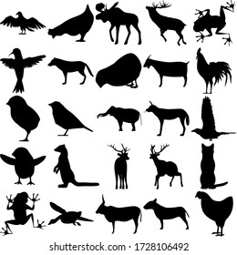 Set of 25 animals. Vulture, Moose, Deer, Tree Frog, Hummingbird, Wolf, Chick, Goat, Cock, Bird, Elephant, African dog, Raven, Pacific Fisher, Cat, Duck, Bull, Bull Terrier, Chicken.