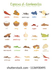 Set of 25 different culinary species and condiments in cartoon style. Spanish names.