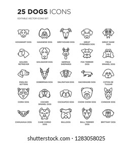 Set of 25 dogs linear icons such as Hovawart dog, Havanese Greyhound Great Pyrenees Dane dog, vector illustration of trendy icon pack. Line icons with thin line stroke.
