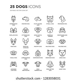 Set of 25 dogs linear icons such as Pomeranian dog, Pointer Plott Hound Pitbull Pekingese Newfoundland dog, vector illustration of trendy icon pack. Line icons with thin line stroke.