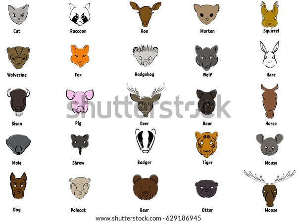 images of wild animals and their names