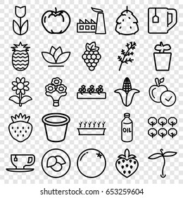 Set of 25 leaf outline icons such as plant, leaf, berry, orange, grape,