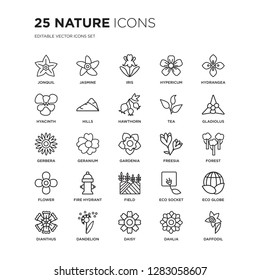 Set of 25 nature linear icons such as Jonquil, Jasmine, Iris, Hypericum, Hydrangea, Gladiolus, Forest, eco globe, Dandelion, vector illustration of trendy icon pack. Line icons with thin line stroke.
