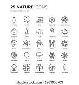 Set of 25 nature linear icons such as Cypress, Clover, Cliff, Clematis, Chrysanthemum, Cannabis, Zinnia, Aster, Anemone, vector illustration of trendy icon pack. Line icons with thin line stroke.