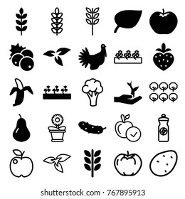 Set of 25 organic filled and outline icons such as wheat, plant, currant, pear, apple, leaf, cucumber, sprout plants, banana, strawberry, turkey, plant on hand, potato