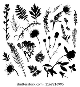 Set of 25 vector silhouettes of wild herbs and flowers isolated on white background. Botanical natural elements of meadow and field plants for your design. EPS10