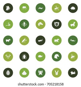 Set Of 25 Zoology Icons Set.Collection Of Rooster, Gnat, Housefly And Other Elements.