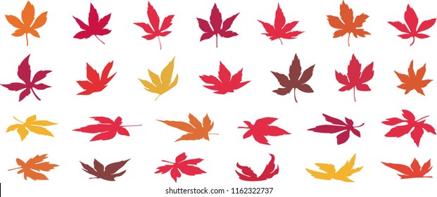 Set of 26 colorful autumn leaves vector illustrations on the white background- Japanese momiji leaf