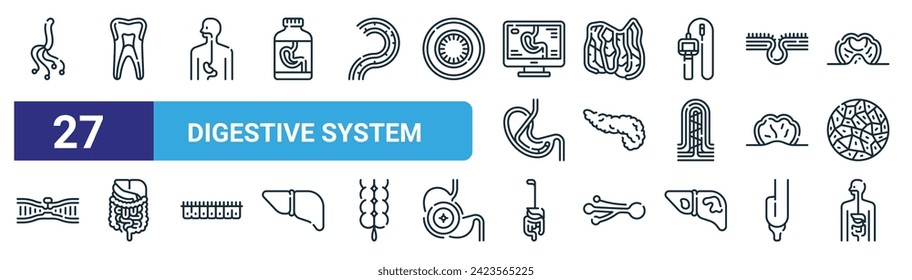 set of 27 outline web digestive system icons such as helicobacter pylori, tooth, esophagus, omentum, pancreas, gastrointestinal tract, gastrointestinal tract, gastrointestinal tract vector thin line