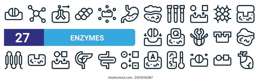 set of 27 outline web enzymes icons such as enzyme, enzyme, group, test tubes, coenzyme, enzyme, coenzyme, heart vector thin line icons for web design, mobile app.