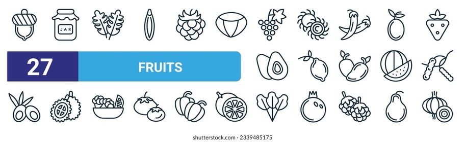 set of 27 outline web fruits icons such as acorn, mason jar, arugula, rambutan, lemon, durian, lettuce, onion vector thin line icons for web design, mobile app.