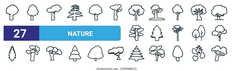 Satz von 27 Rahmensymbolen für die Web-Natur, wie Schattenstraum, amerikanischer Hophornbeam-Baum, schwarzer Kirschbaum, Pignut-Hickory-Rothenkiefer-Schieferholz-Balsam-Tannenbaum-Hickork-Vektorgrafiken