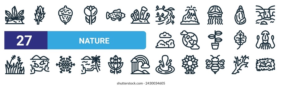 set of 27 outline web nature icons such as seaweed, feather, acorn, volcano, world, shark, water, nest vector thin line icons for web design, mobile app.
