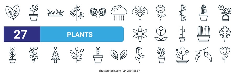 set of 27 outline web plants icons such as leafs, succulent, grass, flower, rose flower, wattle, rose, flower vector thin line icons for web design, mobile app.