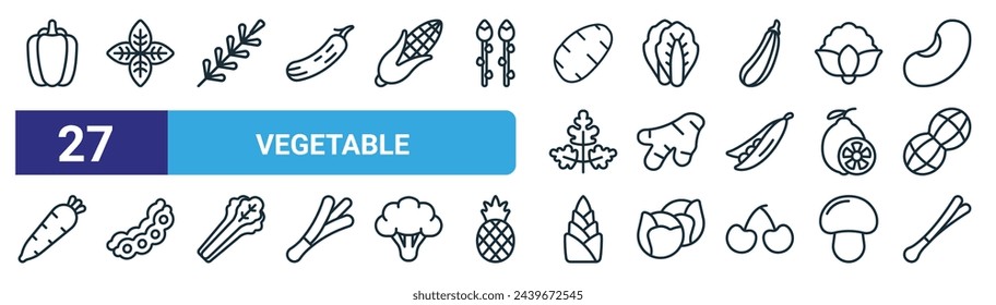 set of 27 outline web vegetable icons such as capsicum, basil, rosemary, cabbage, ginger, soy, bamboo shoots, leek vector thin line icons for web design, mobile app.