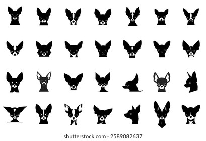 Set of 28 Chihuahua dog head designed as vector icons, showcasing various facial expressions and styles.