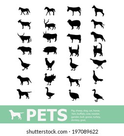Set of 28 pet icon