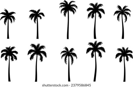 set 2d palm EPS design for background