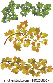 Set of 3 abstract branches with leaves: hedera, maple and oak. Setting in autumn colors.