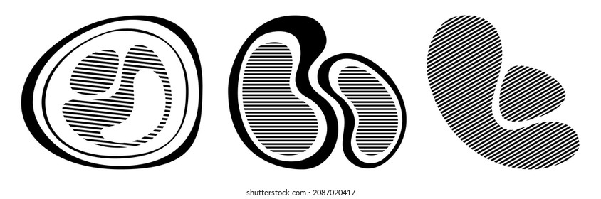 Set of 3 abstract liquid striped shapes. Dynamical forms with lines, isolated on white background. Graphic elements. Template for poster, logo, cover design. Monochrome illustration.