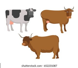 Set of 3 animal cattle