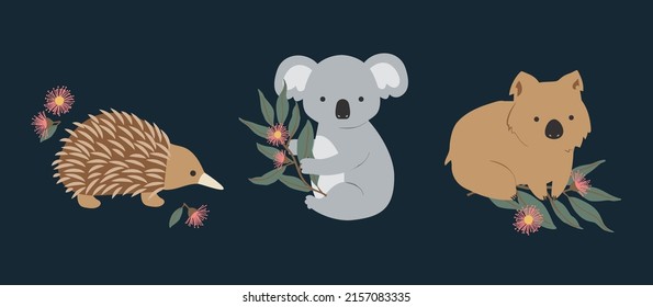 Set of 3 Australian Native Exotic Animals Wombat Koala Echidna Pink Yellow Gum leaves Eucalyptus