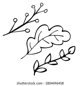 Juego de 3 hojas de otoño con el vector del doodle dibujado a mano