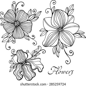 Set of 3 beautiful hand drawn and traced vector outline vintage flower illustrations