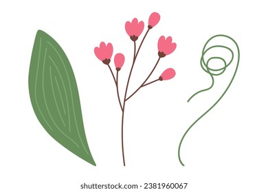Set of 3 botanical design elements with spathiphyllum leaf, blossom and curled twigs. Springtime