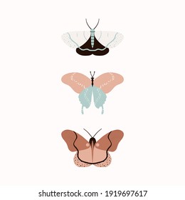 Set of 3 Butterflies in peach nougat, soften brown, jade green and creamy white colors on bright background for your fashion graphic designs as T-shirt prints, pajamas, bedding sets, fabrics and logos