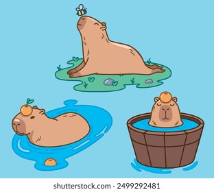 Set of 3 Capybara illustrations 