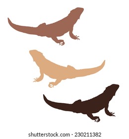 Download Bearded Dragon Silhouette Images, Stock Photos & Vectors ...