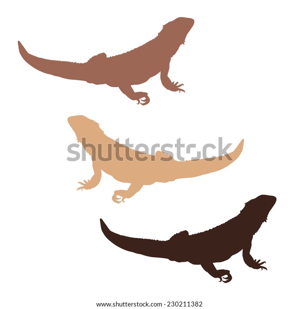 Download Set 3 Colored Bearded Dragon Silhouettes Stock Vector ...