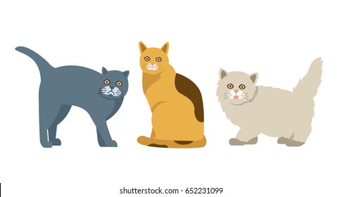 set of 3 cute cats