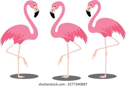 Set of 3 Cute pink flamingos vector art illustration