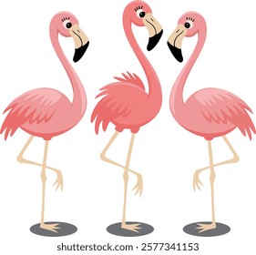 Set of 3 Cute pink flamingos vector art illustration