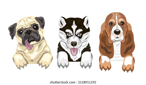 Conjunto de 3 adorables cachorros. Aislar sobre un fondo blanco. Ilustración vectorial. Elemento para afiche, volante, postal.