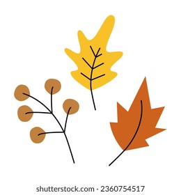 Set of 3 design elements of autumn leaves and twig in trendy seasonal shades. Hello autumn. Isolate