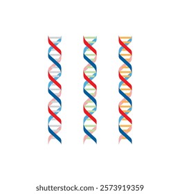 Set of 3 DNA strand icons- double helix - simple schematic illustration.