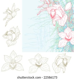 Set 3. Drawing orchid and sample of using.