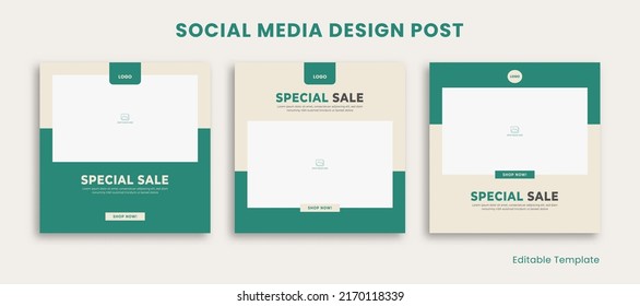 Set of 3 Editable Template Social Media Instagram Design Post with Rectangle Frame and Green Pastel Color Theme. Suitable for Post, Sale Banner, Promotion, Ads, Advertising, Fashion, Beauty, Furniture