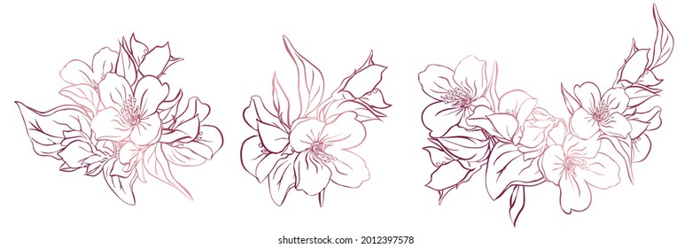 Set with 3 flowering sprigs of jasmine. Gold contour of flowers isolated from white background. Vector illustration.