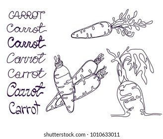 Set with 3 images of carrot made in minimalism and several variants of text