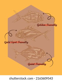 Set of 3 kinds of trevally in a design template.